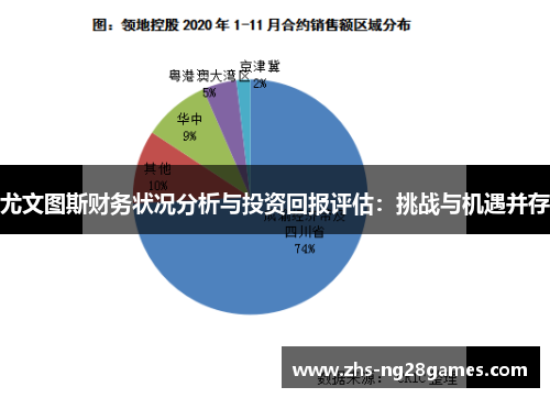 尤文图斯财务状况分析与投资回报评估：挑战与机遇并存