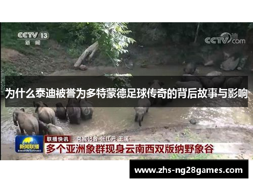 为什么泰迪被誉为多特蒙德足球传奇的背后故事与影响