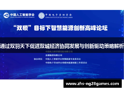 通过双羽天下促进双城经济协同发展与创新驱动策略解析 通过双羽天下促进双城经济协同发展与创新驱动策略解析