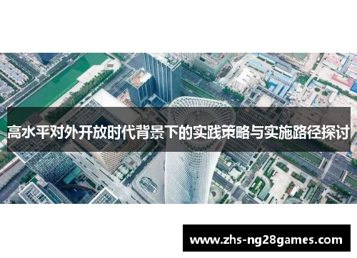 高水平对外开放时代背景下的实践策略与实施路径探讨